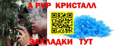 твердый Кингисепп