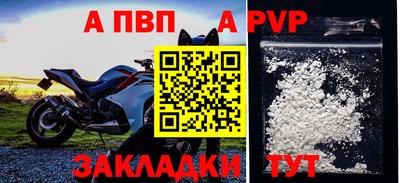 твердый Кингисепп