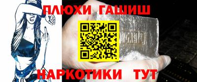 твердый Кингисепп