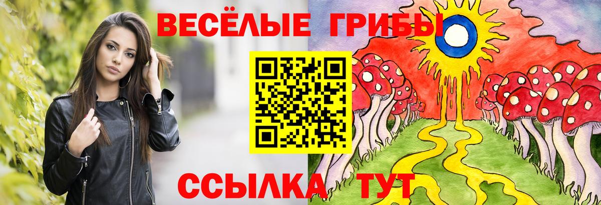 Чебоксары  Псилоцибиновые грибы прущие грибы  Вход с VPN  Галлюциногенные грибы Cubensis 