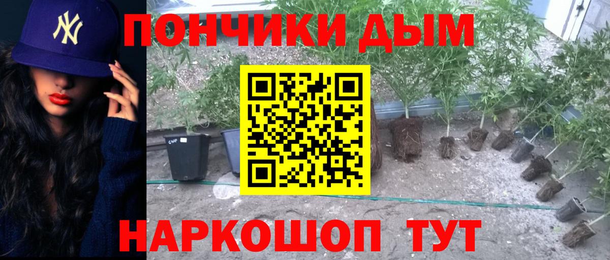 Чебоксары  МАРИХУАНА Amnesia  Шишки марихуана VHQ  Бошки марихуана марихуана  Вход с VPN  Конопля Ganja 
